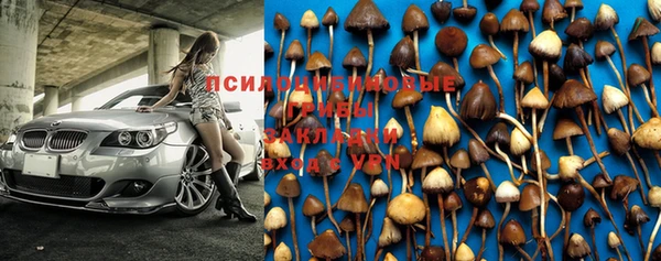 экстази Каменка