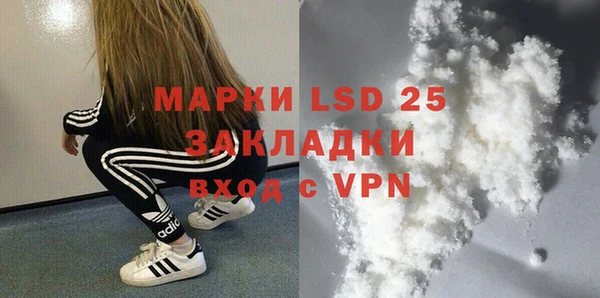 ECSTASY Алзамай